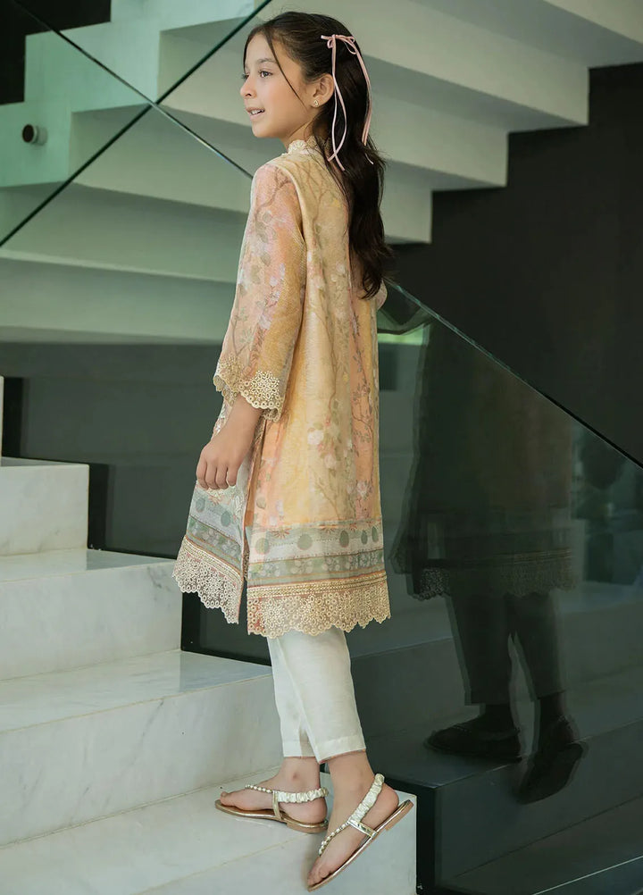 Dhanak Pret Embroidered Munar 2 Piece Suit SS24DK-0174