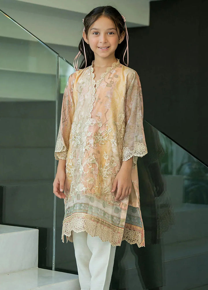 Dhanak Pret Embroidered Munar 2 Piece Suit SS24DK-0174