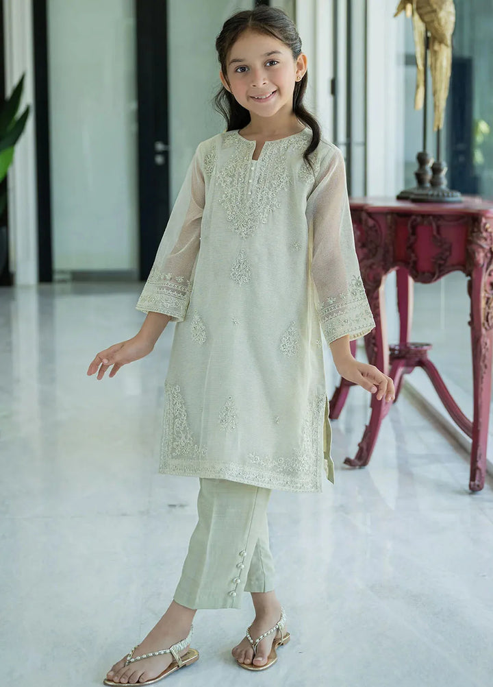Dhanak Pret Embroidered Organza Net 2 Piece Suit SS24DK-0172