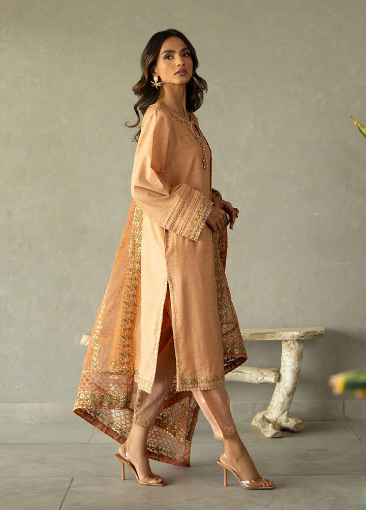 Dhanak Pret Embroidered  2 Piece Suit SS24DA-2293 LIGHT PINK