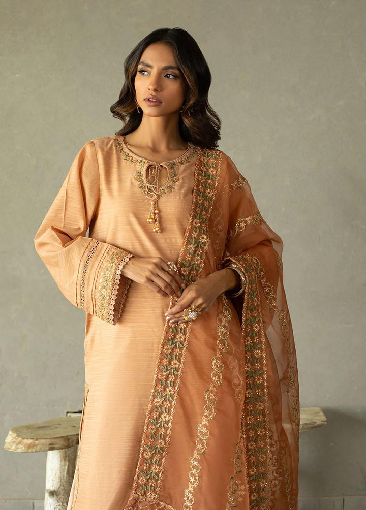 Dhanak Pret Embroidered  2 Piece Suit SS24DA-2293 LIGHT PINK