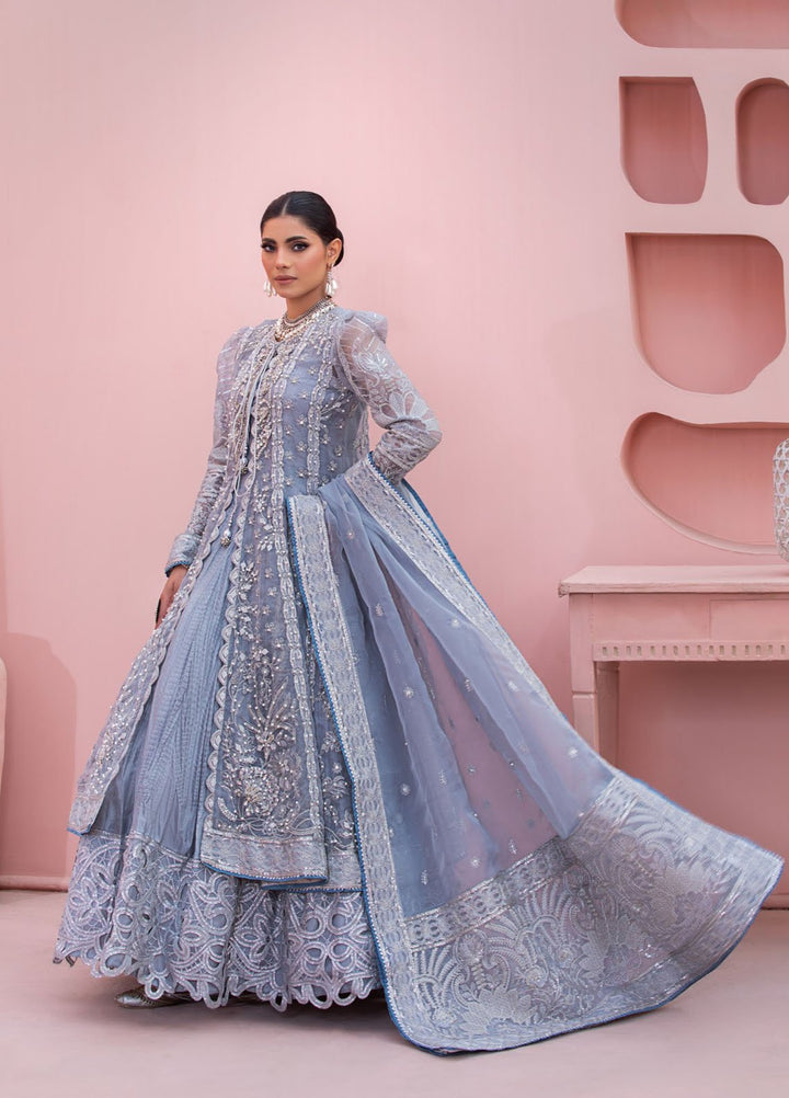 Diara Couture Pret Embroidered Gown Organza 3 Piece Suit POGT-01-02 Blue