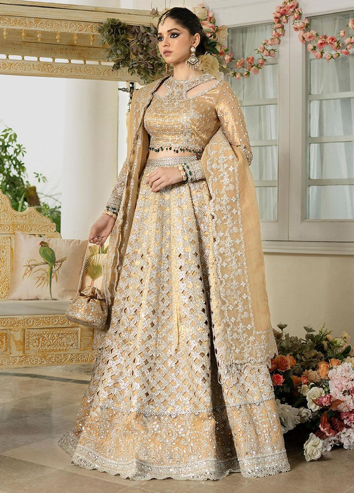 Dilnaaz By Qalamkar Embroidered Missouri Suits Unstitched 4 Piece QLM23DZ DN-1 Imaan - Wedding Collection