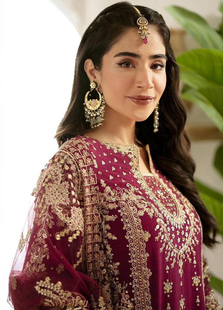 Dilnaaz By Qalamkar Embroidered Raw Silk Suits Unstitched 3 Piece QLM23DZ DN-7 Aleena - Wedding Collection