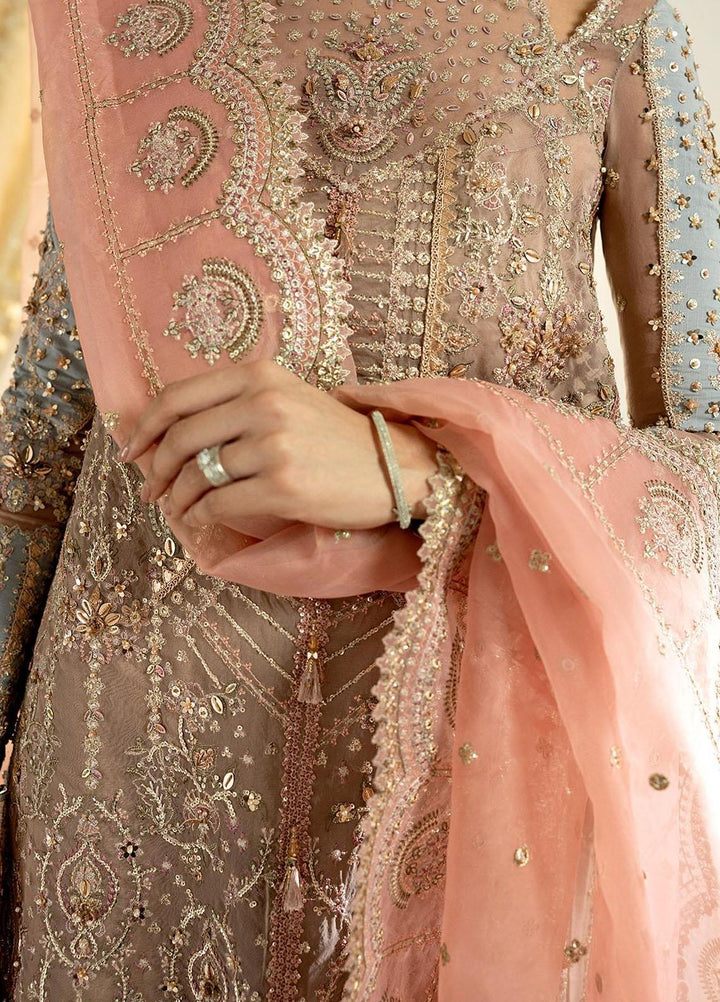 Dilnaaz By Qalamkar Embroidered Organza Suits Unstitched 3 Piece QLM23DZ DN-8 Inaya - Wedding Collection