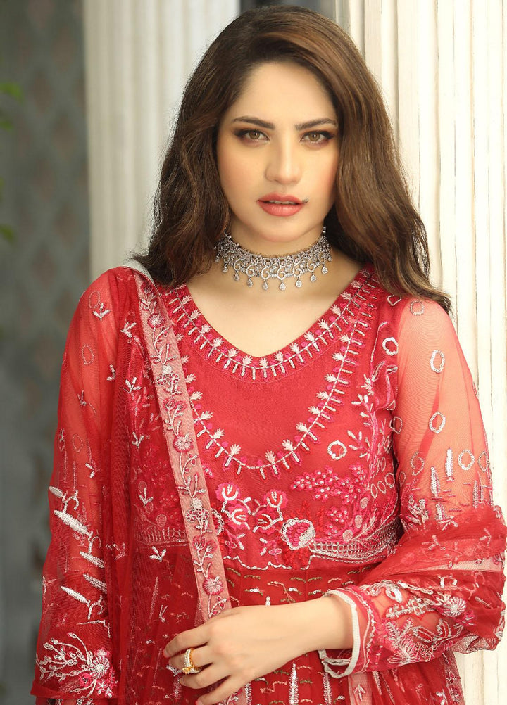 Daud Abbas Luxury Pret  Net 2 Piece Dress DA22ELN DA-LP-1111 AMREN