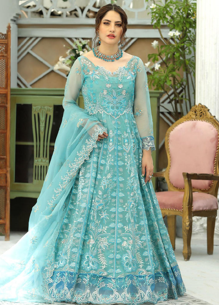 Daud Abbas Luxury Pret  Organza 2 Piece Dress DA22ELN DA-LP-1114 FEYRE
