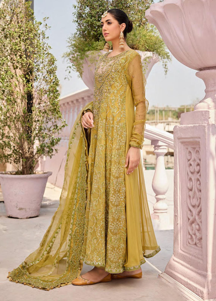 Emaan Adeel Embroidered Chiffon Suits Unstitched 3 Piece EA23FE FT-07 - Luxury Festive Collection