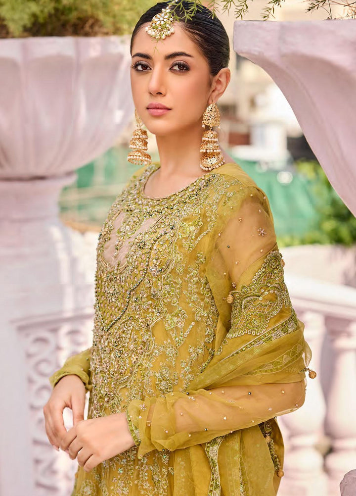 Emaan Adeel Embroidered Chiffon Suits Unstitched 3 Piece EA23FE FT-07 - Luxury Festive Collection