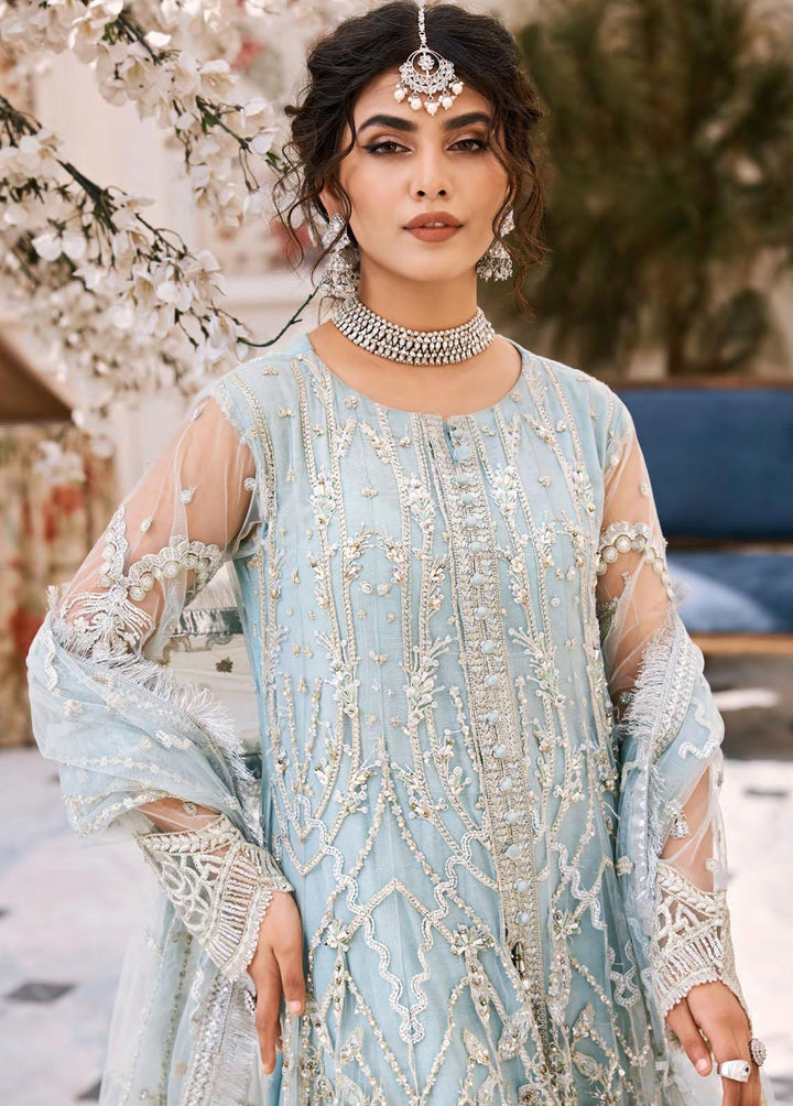 Eshaal By Emaan Adeel Embroidered Net Suits Unstitched 3 Piece EA23E ESH-03 - Luxury Collection