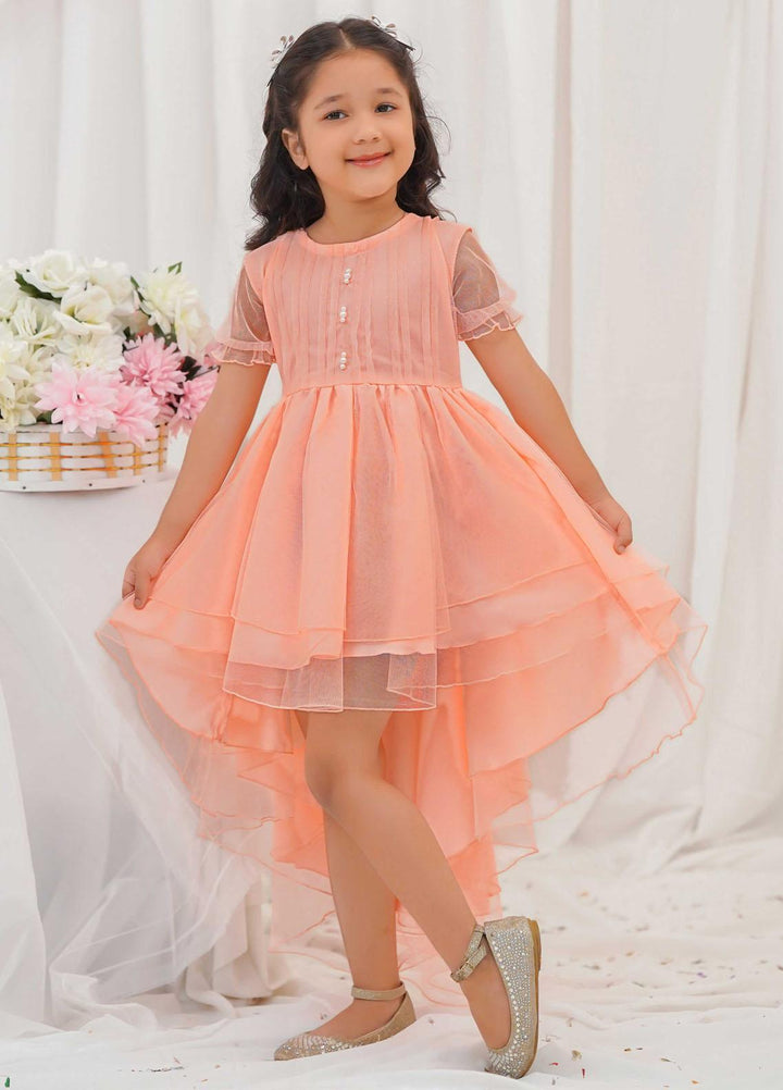 Modest Pret Fancy Net Frock Daisy