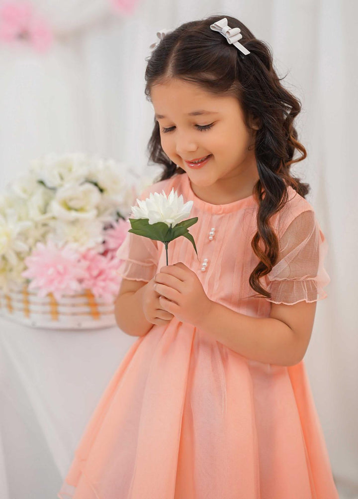 Modest Pret Fancy Net Frock Daisy