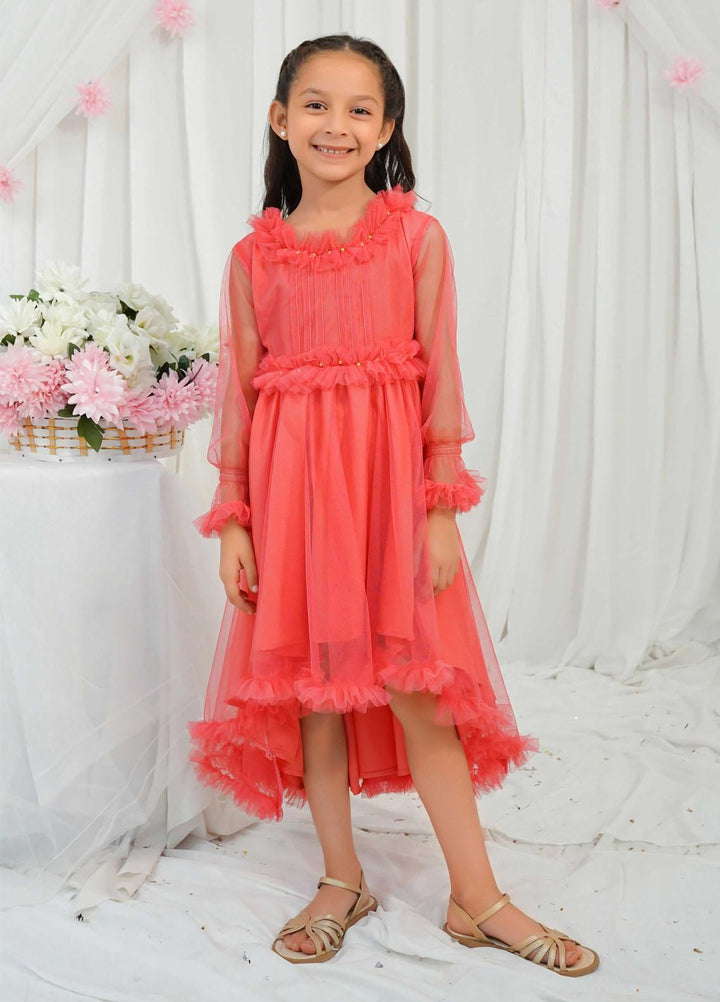 Modest Pret Fancy Net Frock Hazel