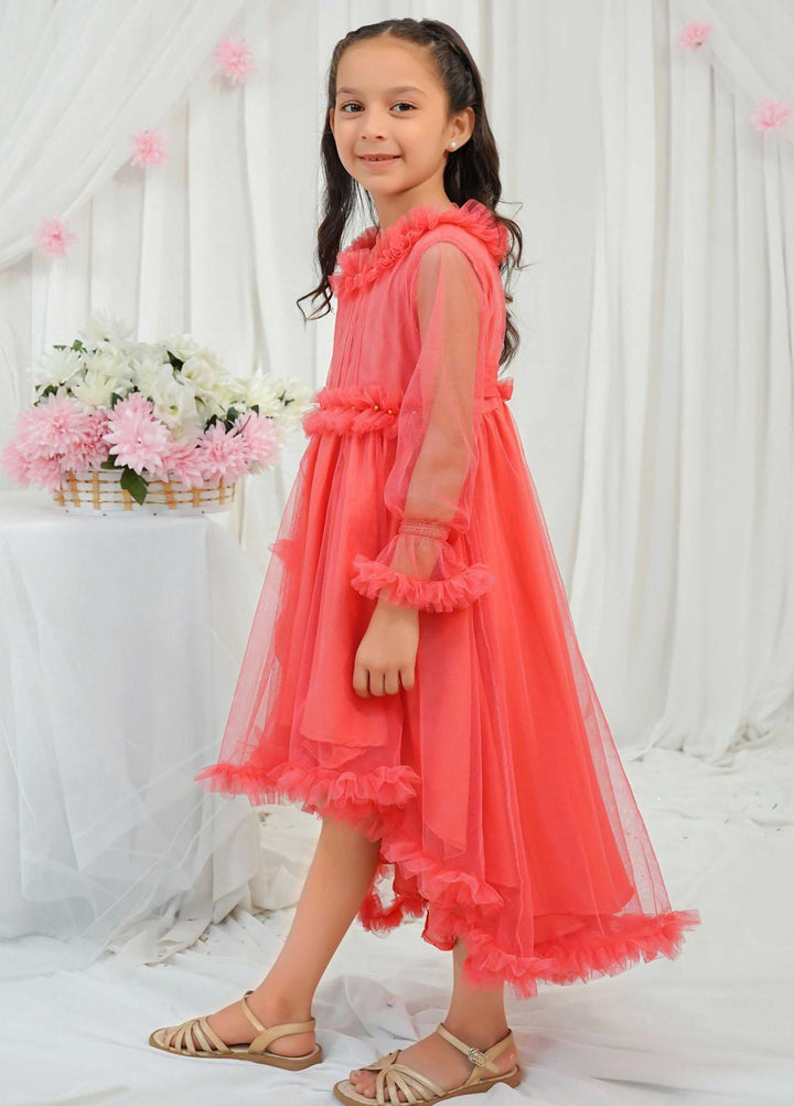 Modest Pret Fancy Net Frock Hazel