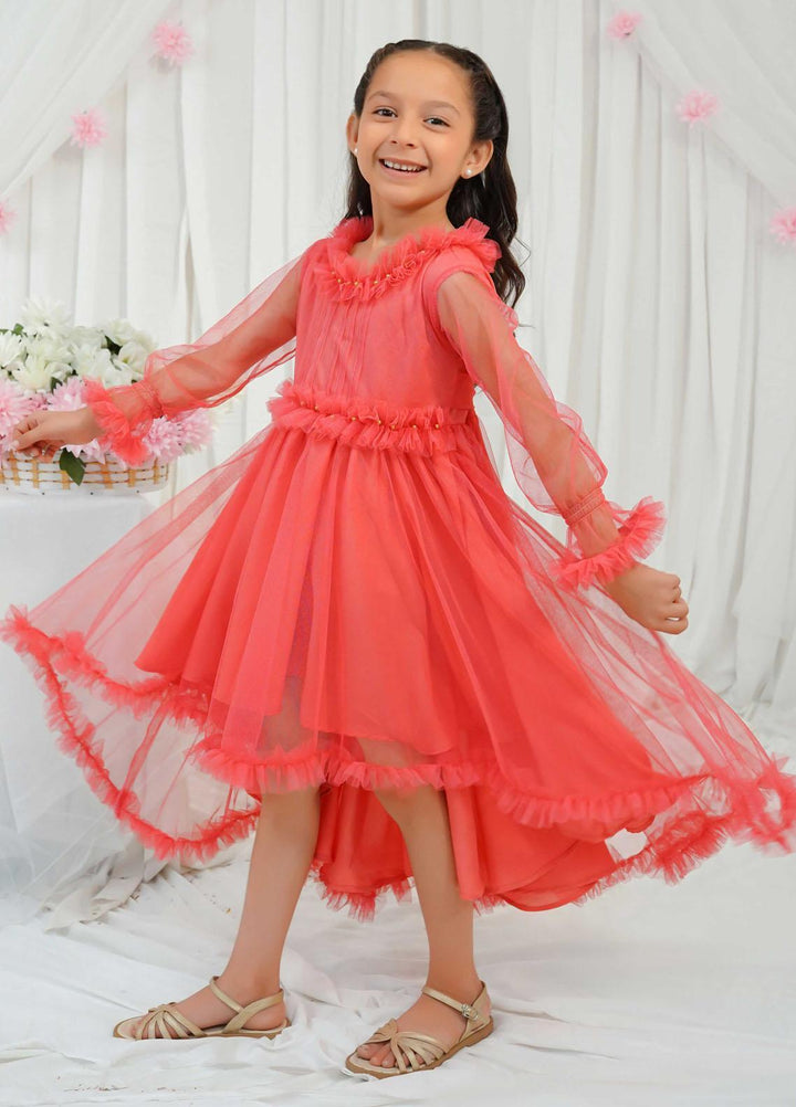Modest Pret Fancy Net Frock Hazel