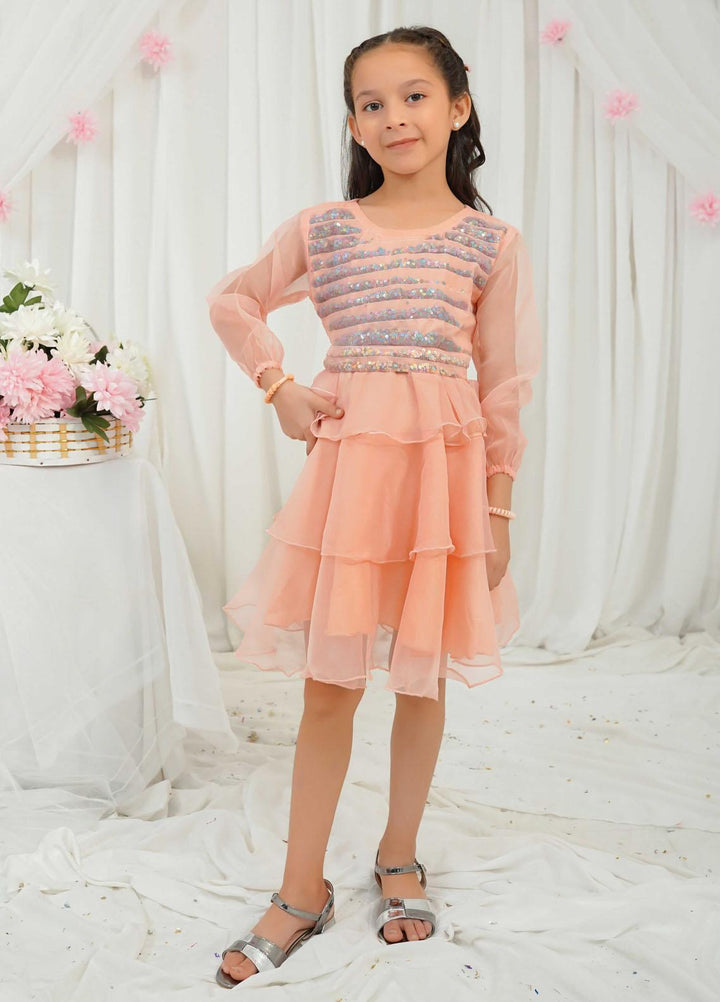Modest Pret Fancy Organza Frock Lyla