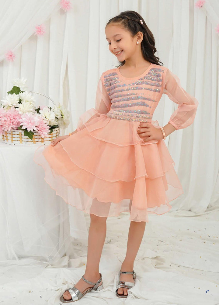 Modest Pret Fancy Organza Frock Lyla