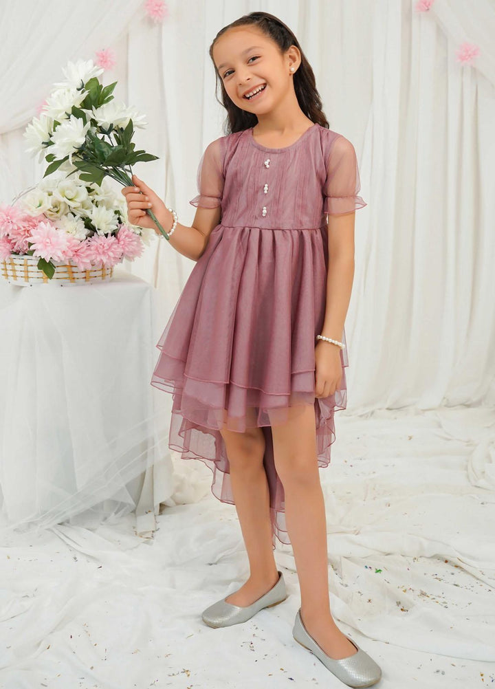Modest Pret Fancy Net Frock Opal
