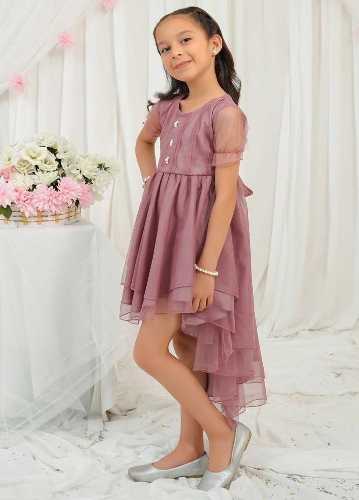 Modest Pret Fancy Net Frock Opal