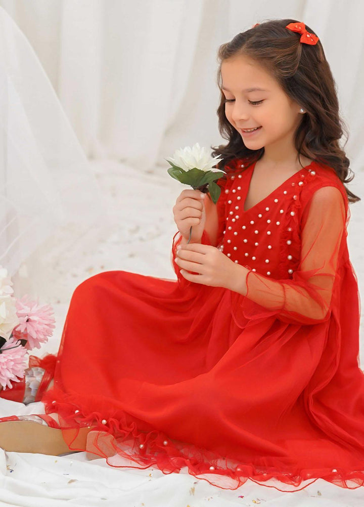 Modest Pret Fancy Net Frock Ruby
