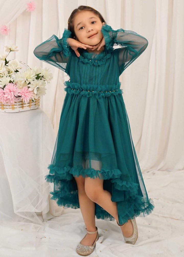 Modest Pret Fancy Net Frock Sage