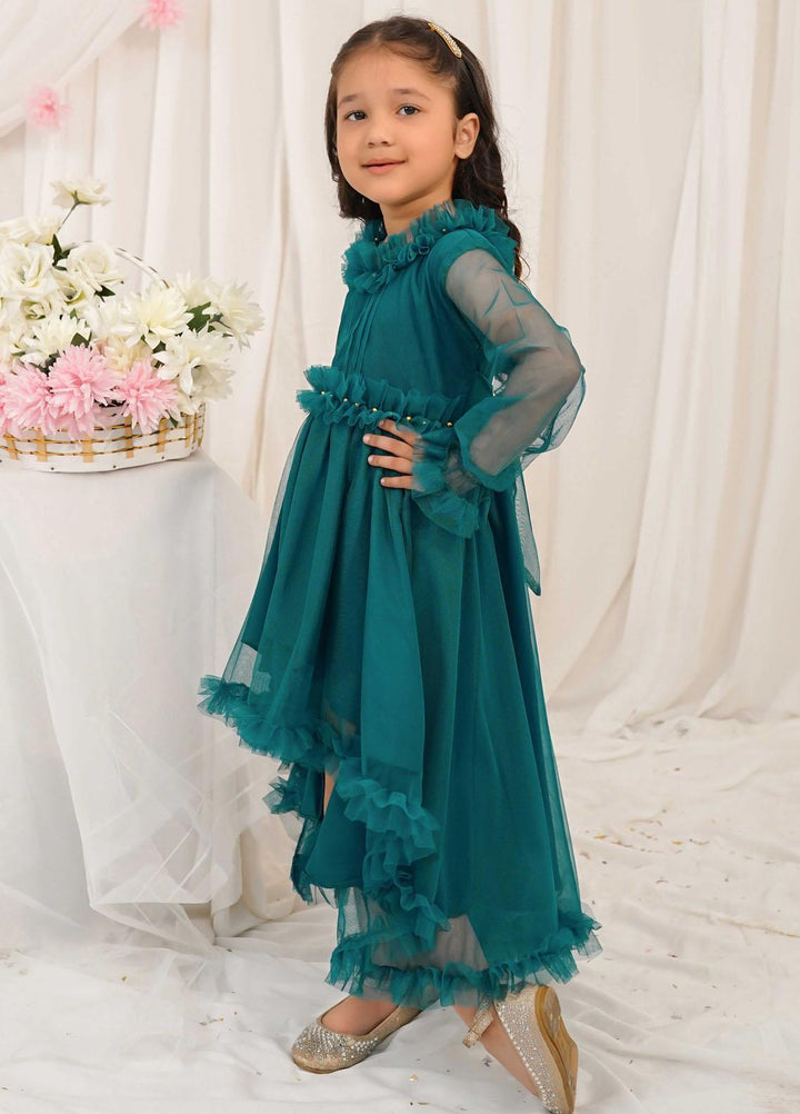 Modest Pret Fancy Net Frock Sage