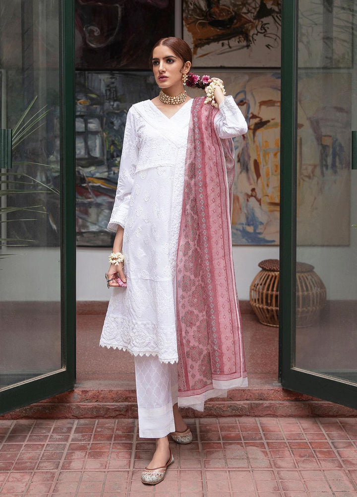 Garnet Clothing Pret Luxury Pret Screen Printed Lawn Shirt NAFEESA