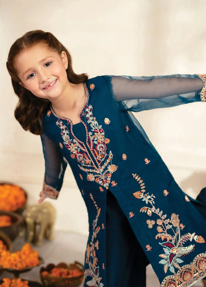 Garnet Clothing Pret Embroidered Organza 2 Piece Suit Johi