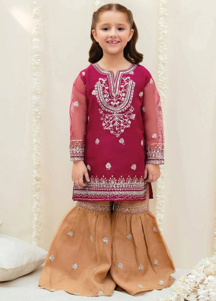 Garnet Clothing Pret Embroidered Organza 2 Piece Suit Mehroon