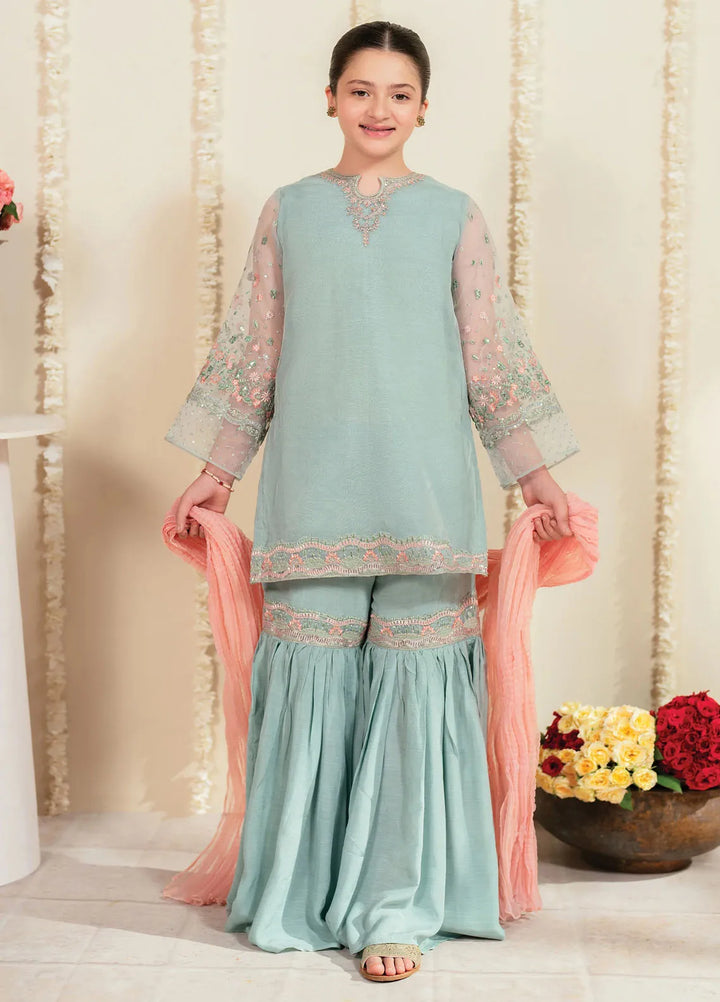 Garnet Clothing Pret Embroidered Organza 3 Piece Suit Aleia