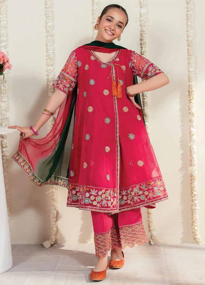 Garnet Clothing Pret Embroidered Organza 3 Piece Suit Chandni
