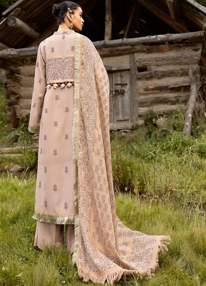 Gul Ahmed Fancy Karandi Suits Unstitched 3 Piece GA24WU AP-42041 - Winter Collection