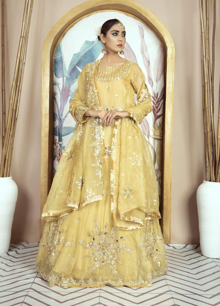 Kausar Attire Luxury Pret  Organza 2 Piece Dress KA22GN SURAJ MUKHI