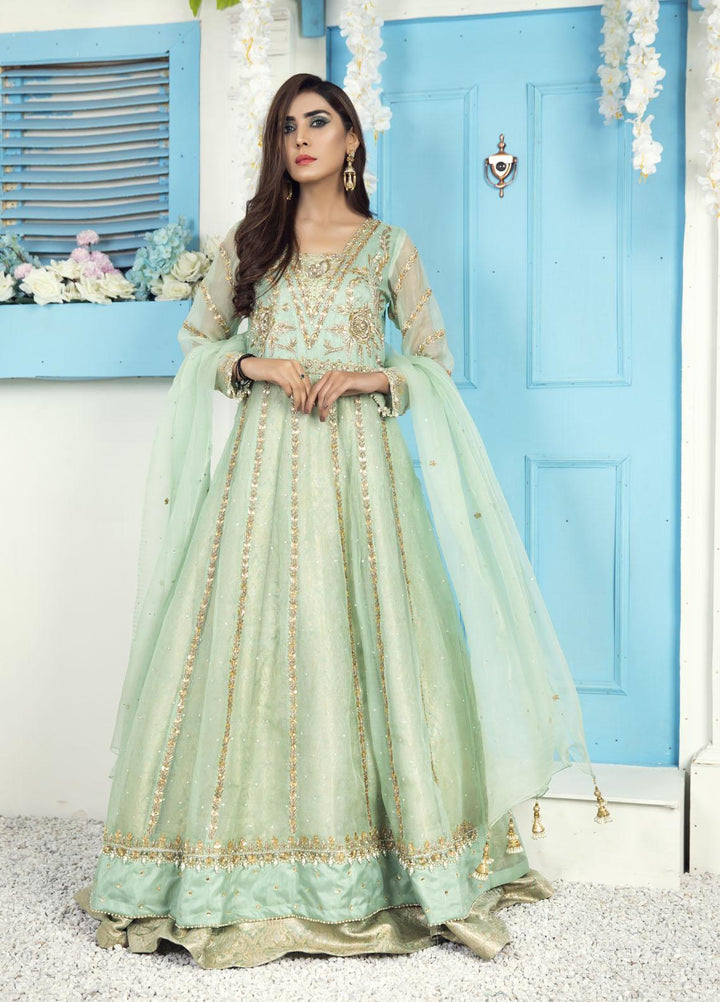 Kausar Attire Luxury Pret  Organza 2 Piece Dress KA22GN LILLI
