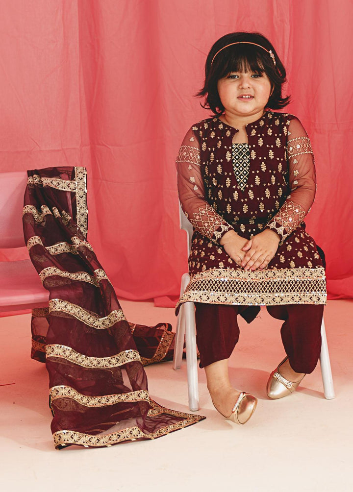 Gulaal Pret Embroidered Net 3 Piece Suit GL-KW-23-02