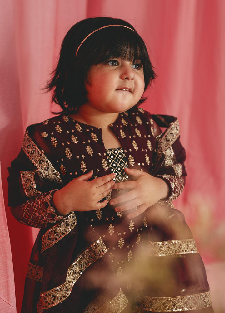 Gulaal Pret Embroidered Net 3 Piece Suit GL-KW-23-02