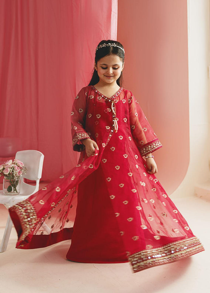 Gulaal Pret Embroidered Organza 3 Piece Suit GL-KW-23-03