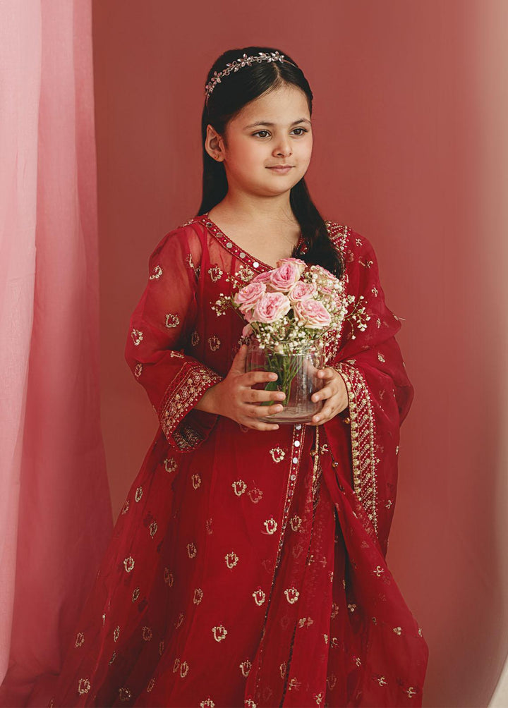 Gulaal Pret Embroidered Organza 3 Piece Suit GL-KW-23-03
