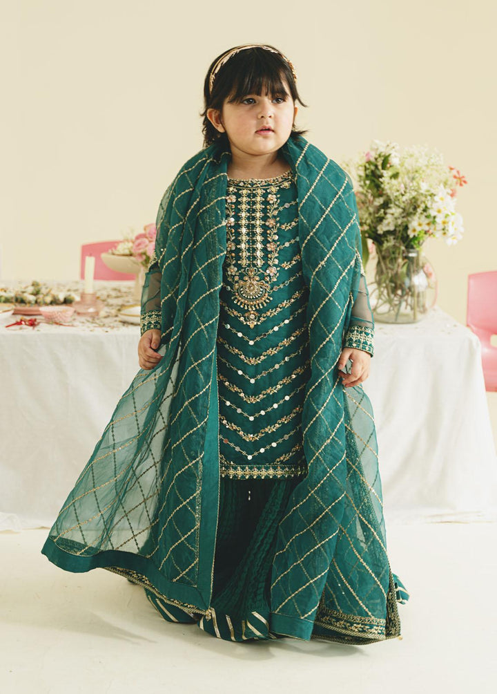 Gulaal Pret Embroidered Organza 3 Piece Suit GL-KW-23-06