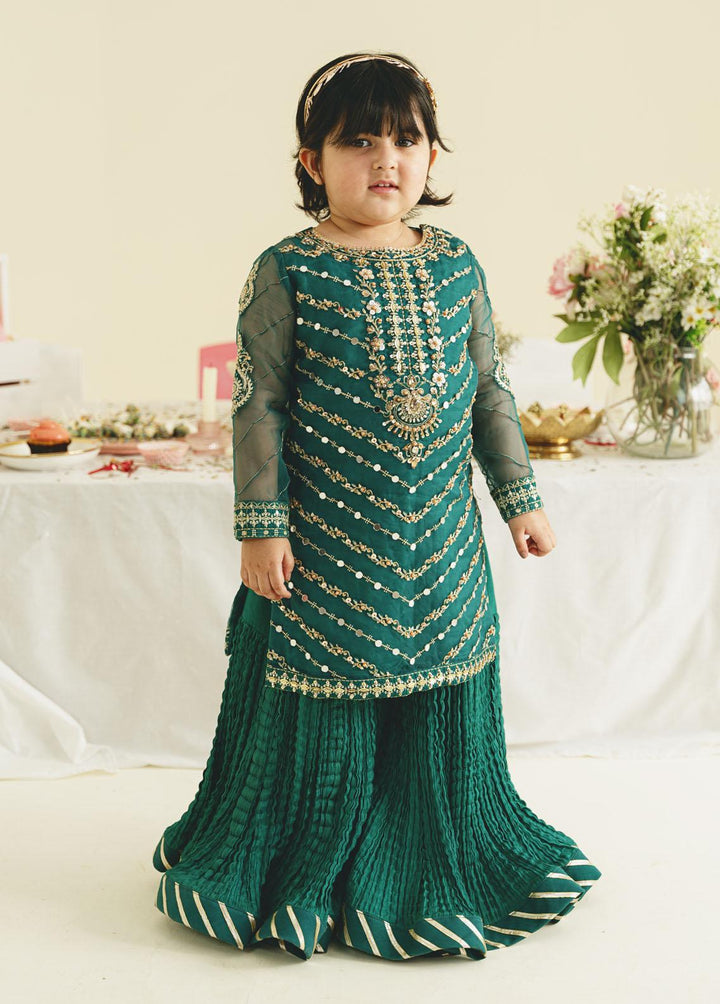 Gulaal Pret Embroidered Organza 3 Piece Suit GL-KW-23-06