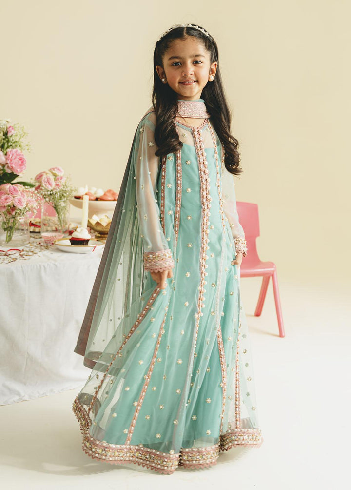Gulaal Pret Embroidered Organza 3 Piece Suit GL-KW-23-09