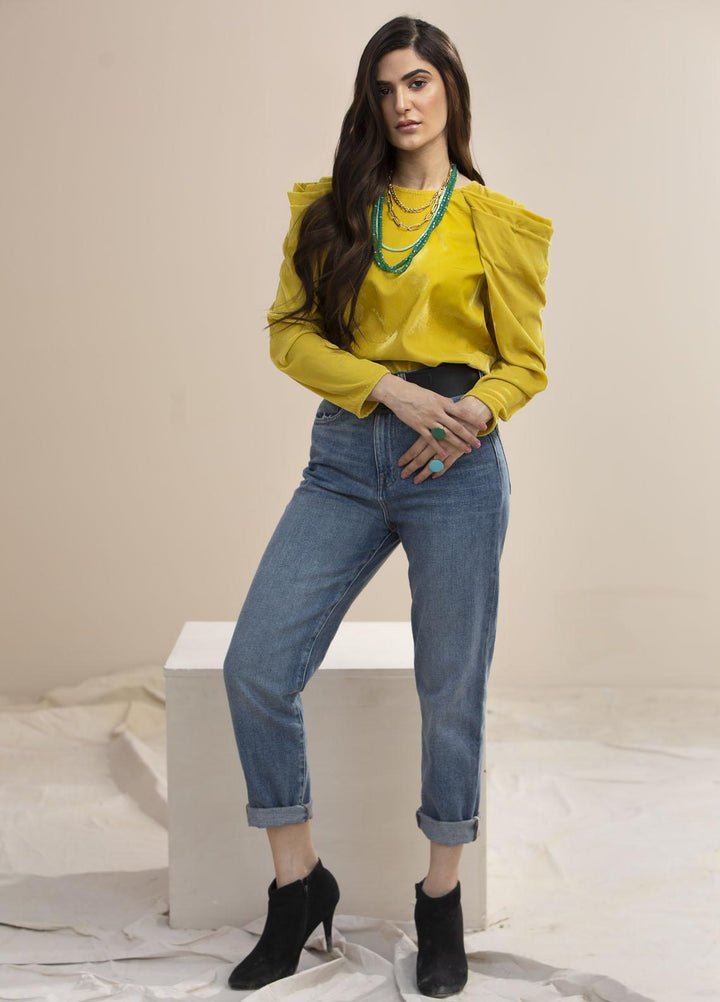 Hana Luxury Pret Embroidered Velvet Top Banana split