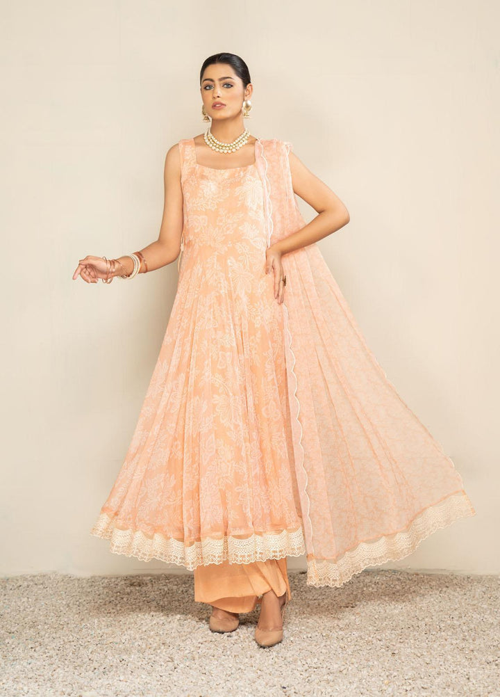 HemStitch Luxury Pret  Chiffon 3 Piece Dress HST22PE Mushk PE-04