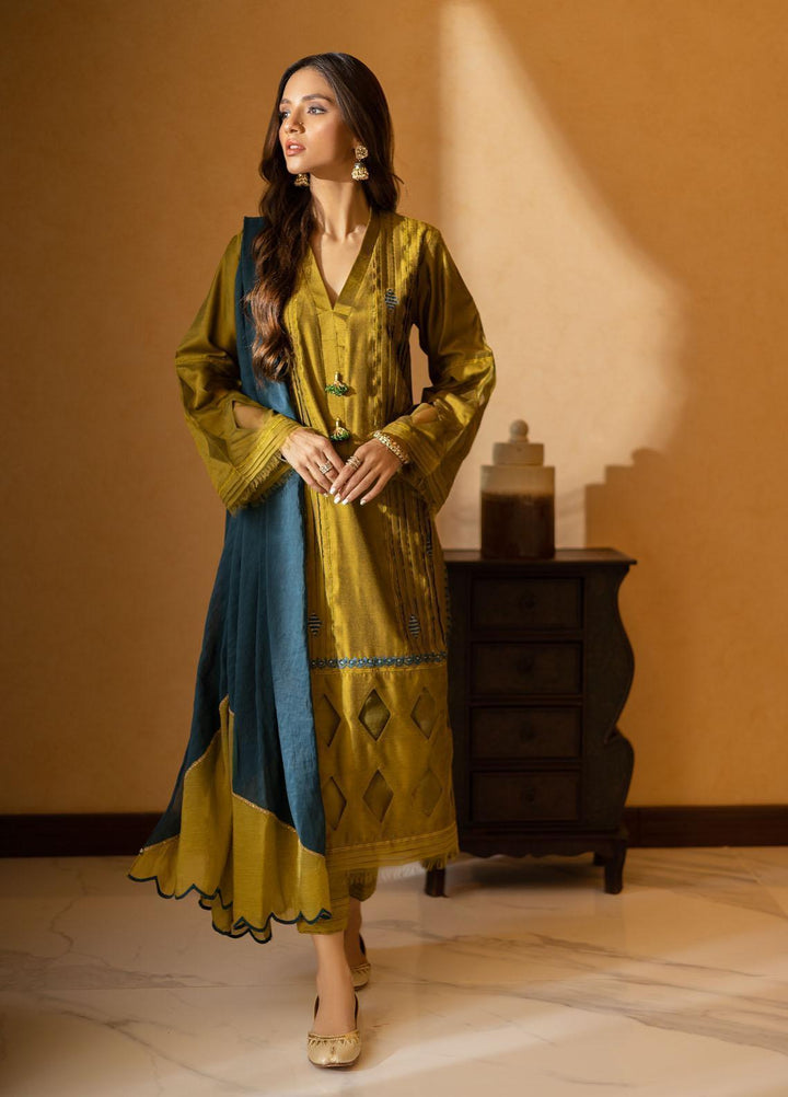 Hue Luxury Pret  Cotton Net 3 Piece Dress HUP22FL Intense
