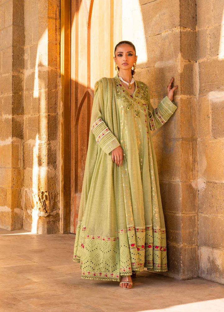 Hue Luxury Pret  Cotton Net 3 Piece Dress HUE23AF RAQS