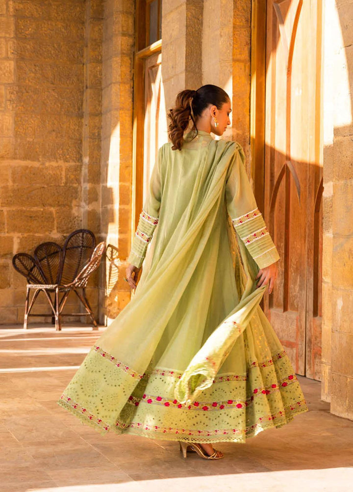 Hue Luxury Pret  Cotton Net 3 Piece Dress HUE23AF RAQS