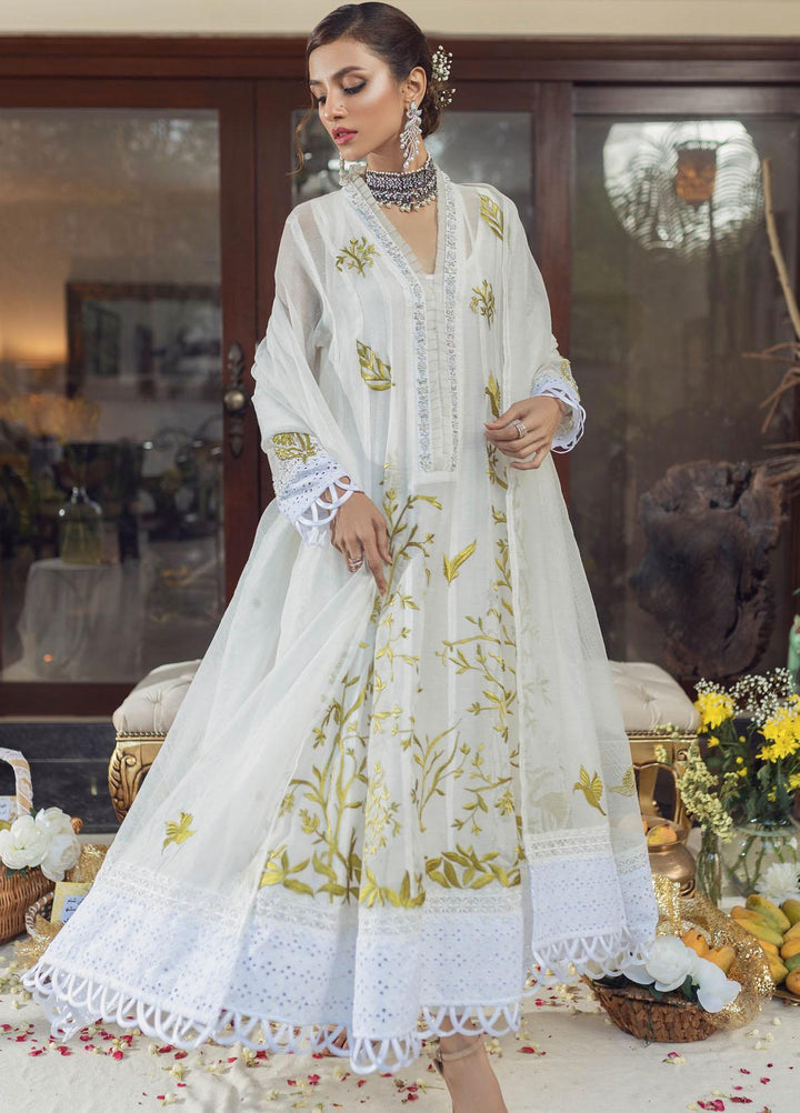 Hue Luxury Pret  Cotton Net Shirt HUP22AR PAKEEZA