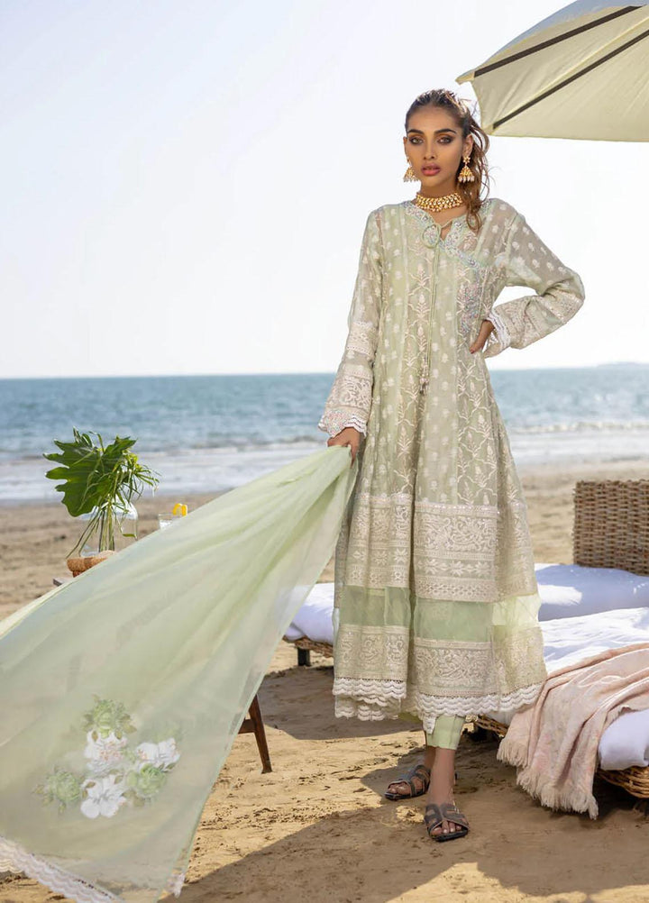 Hue Luxury Pret  Cotton Net Shirt HUP22TA Jade