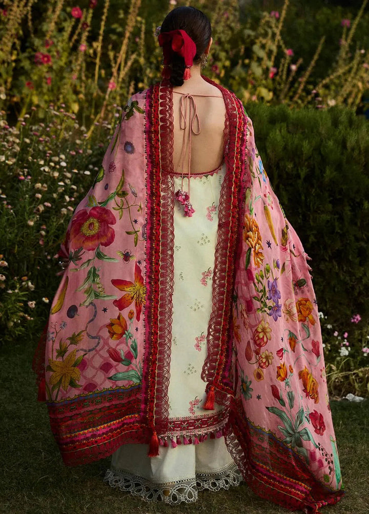 Hussain Rehar Embroidered Lawn Suit Unstitched 3 Piece HRR24S Gleam - Summer Collection