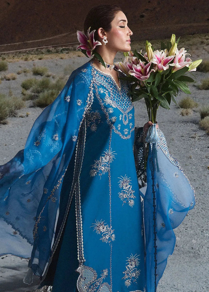 Hussain Rehar Embroidered Lawn Suit Unstitched 3 Piece HRRS24E Luce - Festive Collection